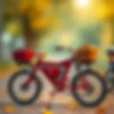 4 in 1 Bisiklet: Çok Yönlü Çocuk Araçlarının Derinlemesine İncelemesi Introduction