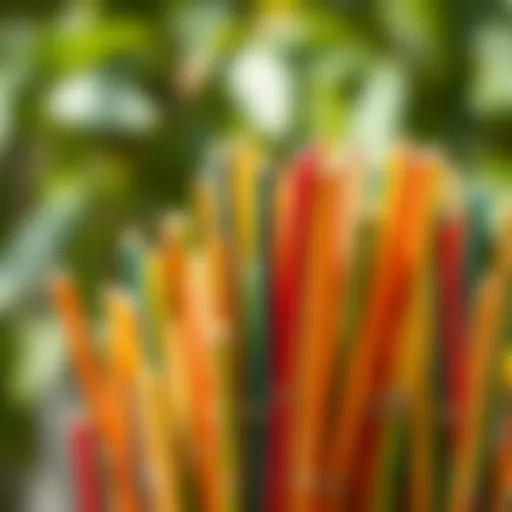 Colorful bamboo sticks arranged creatively