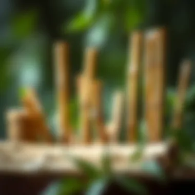 A collection of bamboo sticks showcasing their versatility