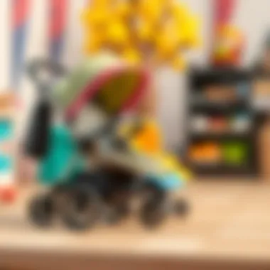 Guidance on Selecting Stroller Sets An expert providing advice on choosing stroller sets