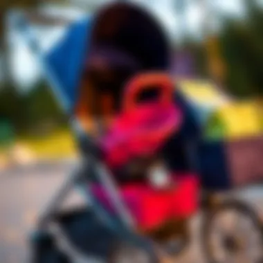 Stroller Set Features and Benefits A close-up of stroller features and functionalities