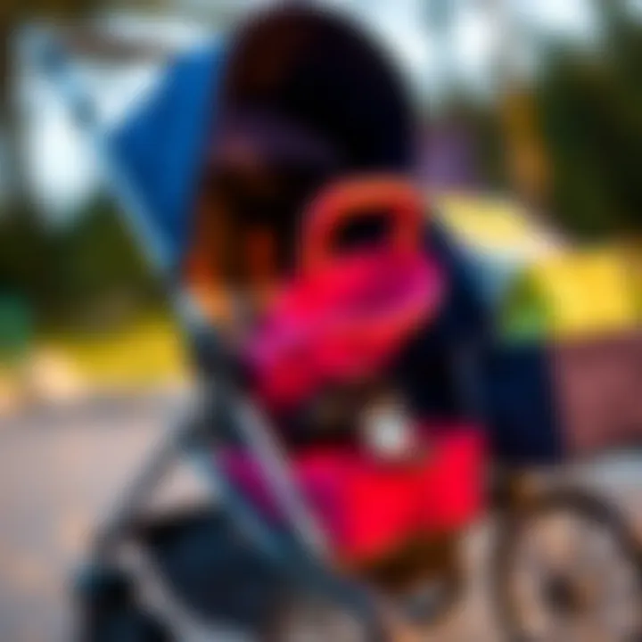 Stroller Set Features and Benefits A close-up of stroller features and functionalities