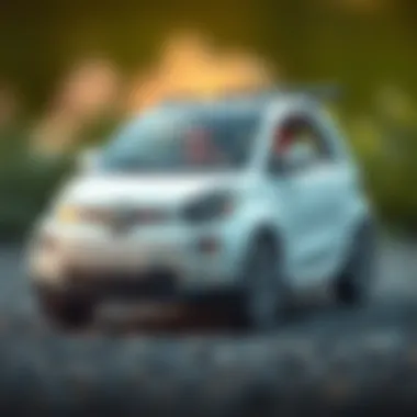 Eco-friendly features of compact electric cars