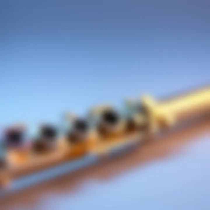 Choosing the Right Small Flute A close-up of a small flute, highlighting its design and features, emphasizing the importance of selecting the right instrument.