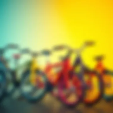 Different types of four-wheeled bicycles displayed together